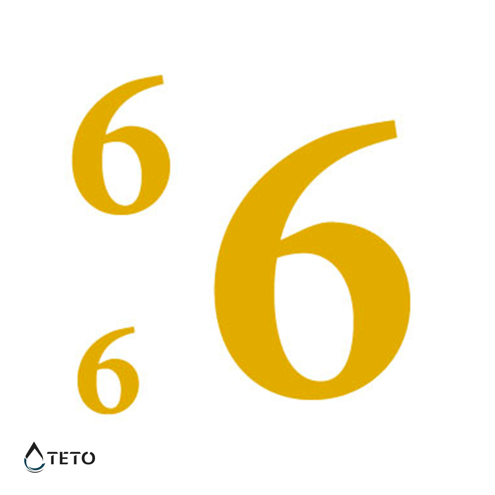 Nummer 6 oder 9 - Set - TETO Temporäre Tattoos
