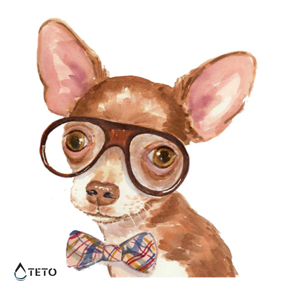 Chihuahua - TETO Temporäre Tattoos