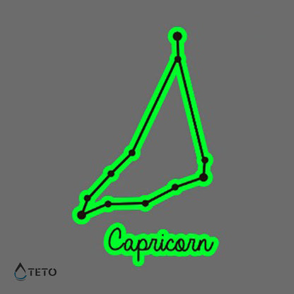 Sternzeichen Steinbock – Leuchtet im Dunkeln - TETO Temporäre Tattoos