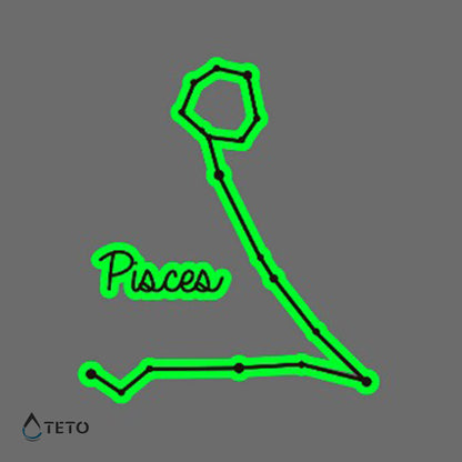 Sternzeichen Fische - Leuchtet im Dunkeln - TETO Temporäre Tattoos