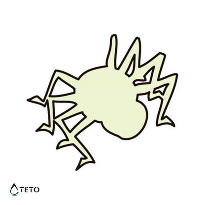 Spinne - Leuchtet im Dunkeln - TETO Temporäre Tattoos
