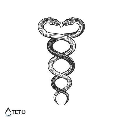 Verwickelt wie Schlangen – Semipermanente - TETO Temporäre Tattoos