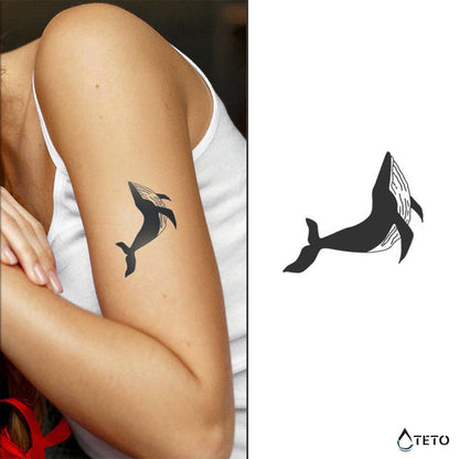 Wal – Semipermanente – Typ A - TETO Temporäre Tattoos