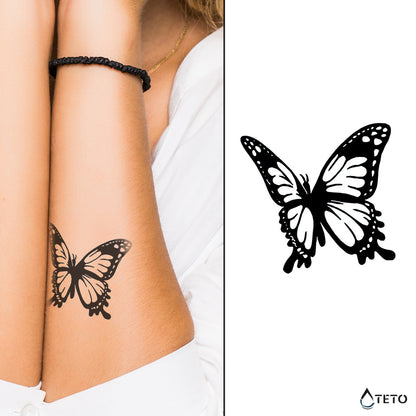 Schmetterling – Semipermanente